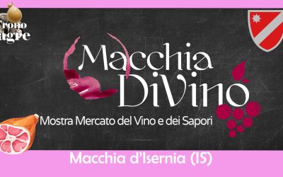 51^ Edizione di Macchia DiVino: Vino, Cultura e Tradizione dal 12 al 15 Settembre!